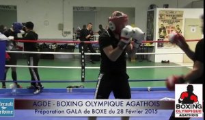 AGDE - 2015 - GRAND GALA de BOXE 2015 du BOXING OLYMPIQUE AGATHOIS le 28 FEVRIER 2015