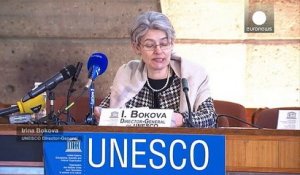 Destructions de statues à Mossoul : l'Unesco se tourne vers la justice internationale