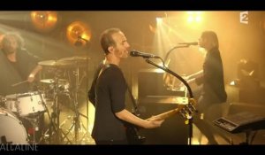 Alcaline, le Concert : Calogero et Cats On Trees - Sirens Call