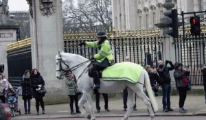 Un homme nu s'évade de Buckingham Palace