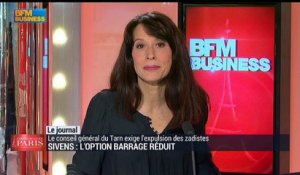 Sivens : l'option barrage réduit