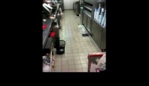 Des souris se promène dans un restaurant Quick