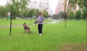 Une femme se venge sur un propriétaire de chien