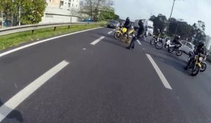 Des motards sauvent un chien sur la route