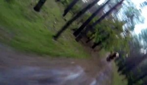 Ce type a vu la mort de très près ! Il s'est fait charger par un grizzly dans les bois ! Regardez !