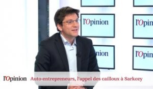 Auto-entrepreneurs, l'appel des cailloux à Nicolas Sarkozy