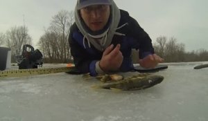 Un homme complètement fou attrape des poissons à travers la glace avec son pénis