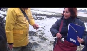 Contrôle des pêcheurs à pied dans le Calvados