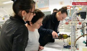 Vannes. Bien-être : fabrication de produits de beauté à l'UBS