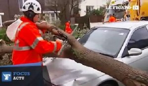 Une violente tempête fait 3 morts en Australie