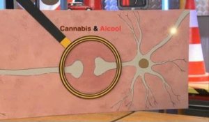 C'est Pas Sorcier : les effets de l'alcool associé au cannabis