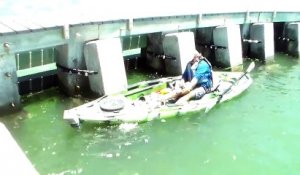 Challenge pour cet homme : Ramener un poisson de 250 kilos avec son kayak !