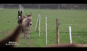 Teaser Hélène & Les Animaux - Se ressourcer grâce aux animaux