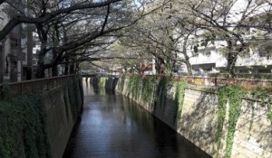 Tokyo Naka Meguro