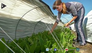 Le muguet, une tradition en perte de vitesse chez les jeunes