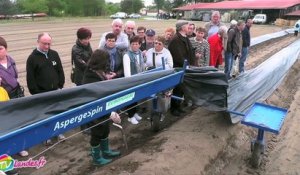 Fête de l’asperge à Pontonx