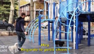 Expérience sociale: Kidnapper un enfant avec un chien