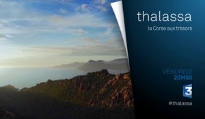 Thalassa en Corse - Vendredi 8 mai sur France 3