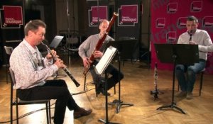 Divertimento n°3 de Mozart par l'Ensemble Trielen | le Live du Magazine