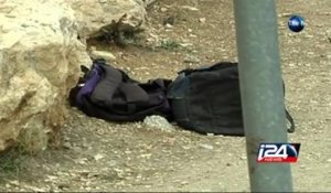Four Israelis Injured in a vehicular terror attack
