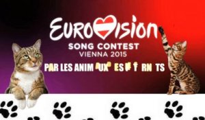 L'Eurovision 2015 par nos amis les animaux des Internets