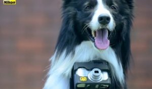 Heartography : L'appareil photo pour chiens