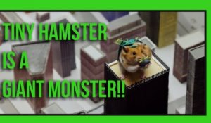 Tiny Hamster is a Giant Monster