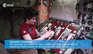 Cuisiner des tortillas dans l'espace! L'Astronaute Samantha Cristoforetti fait des Tacos