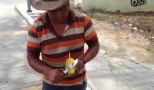 Découper une mangue en forme de fleur