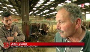 Filière bovine : la détresse des éleveurs