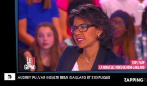 Audrey Pulvar insulte Rémi Gaillard sur Twitter et s'explique dans Le Grand 8 !