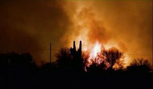 Spectaculaire feu de forêt en Arizona
