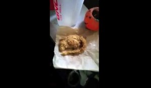 Il retrouve un Rat frit dans son Bucket KFC!