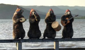 Bel été sur France 3 avec Les Marmottes péruviennes / été 2015