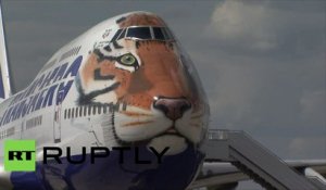 Le vol du tigre : Une compagnie aérienne s'engage pour la sauvegarde du grand félin