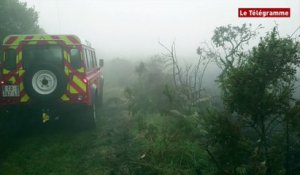 Lande du Cranou. 20 ha partent en fumée
