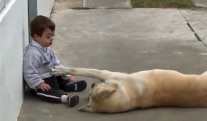 Hernan un petit garçon sous le charme d'un chien labrador
