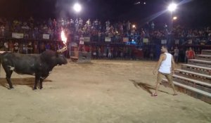 Un homme défie un taureau aux cornes de feu (Espagne)