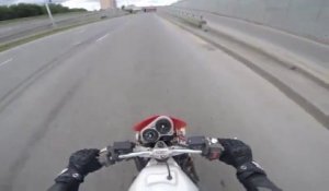 Un motard heurte un faucon en plein vol et va le ramasser au sol