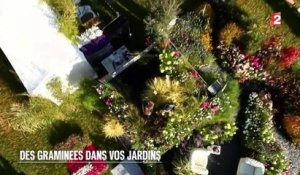 Jardin - Des graminées dans vos jardins - 2015/07/11