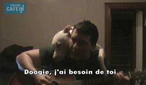 La réaction de ce pitbull à la sérénade de son maître est adorable