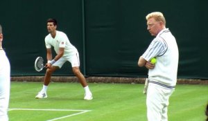 Wimbledon - Djokovic : "Becker a amélioré mon service"