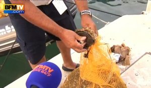 Cannes: opération nettoyage des fonds marins après les feux d’artifices du 14-juillet