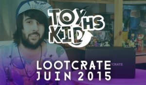 LOOT CRATE Juin 2015 - Toykid HS