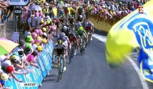 Tour de France : Greg Van Avermaet remporte la 13e étape entre Muret et Rodez
