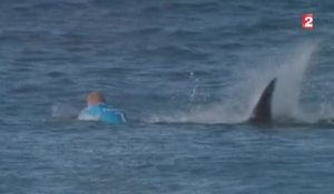 L'attaque du requin filmée en direct