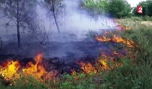 Gironde : plusieurs incendies détruisent 160 hectares de forêt