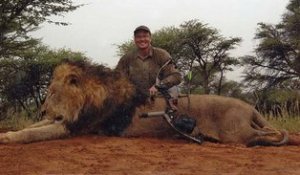 Le lion Cécil est mort, assassiné par Walter Palmer