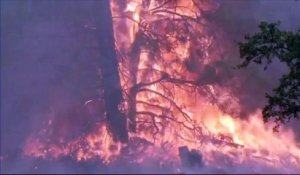 Un pompier tué dans les incendies qui ravagent la Californie