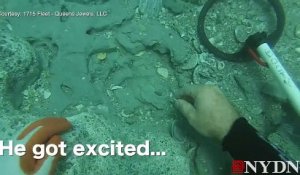 Insolite : un plongeur découvre un million de dollars